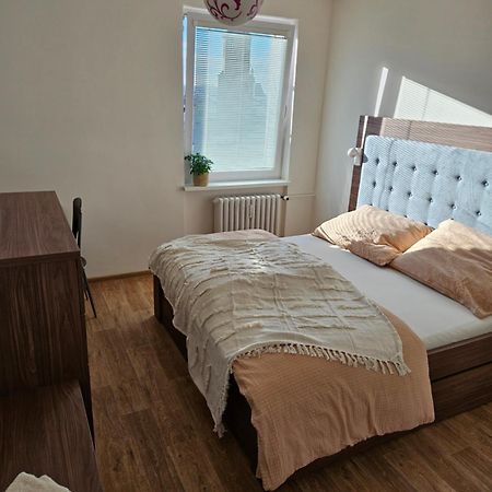 Byt V Centru Frydku-Mistku Frýdek-Místek Extérieur photo